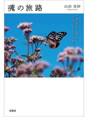 cover image of 魂の旅路 生まれ変わりながら、ふたたび巡り会うために